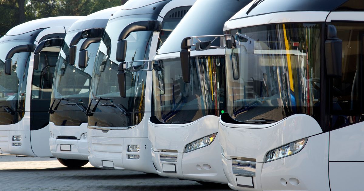 vuoi guidare un autobus per lavoro? ottieni la patente d